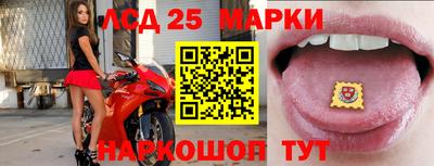 Альфа ПВП Славянск-на-Кубани