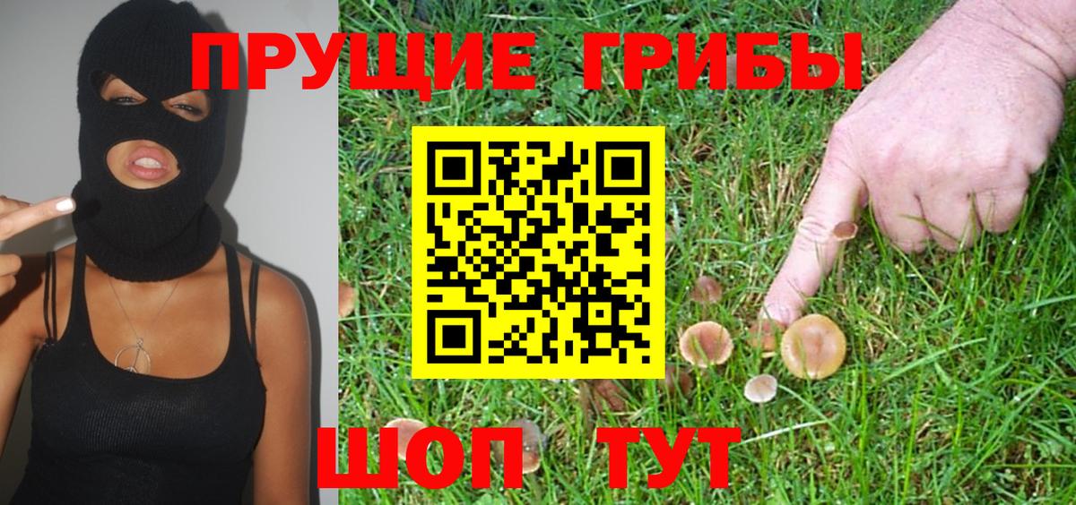 Галлюциногенные грибы ЛСД Мыски
