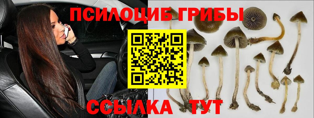 Мыски  Псилоцибиновые грибы мухоморы  Вход с VPN 