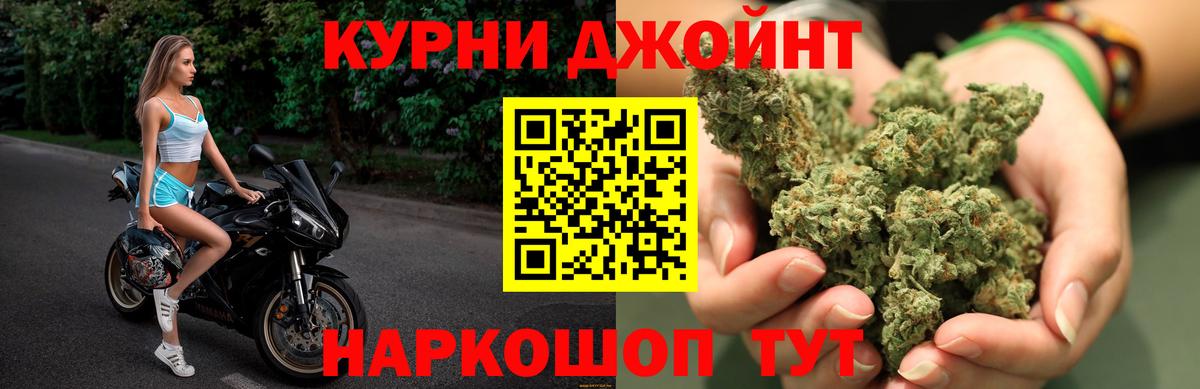 Бошки марихуана MAZAR Мыски